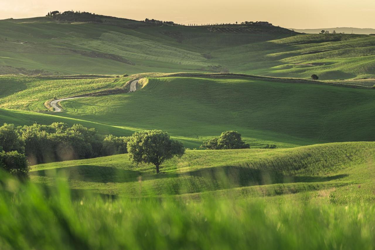 Agriturismo Cretaiole Pienza Exterior photo