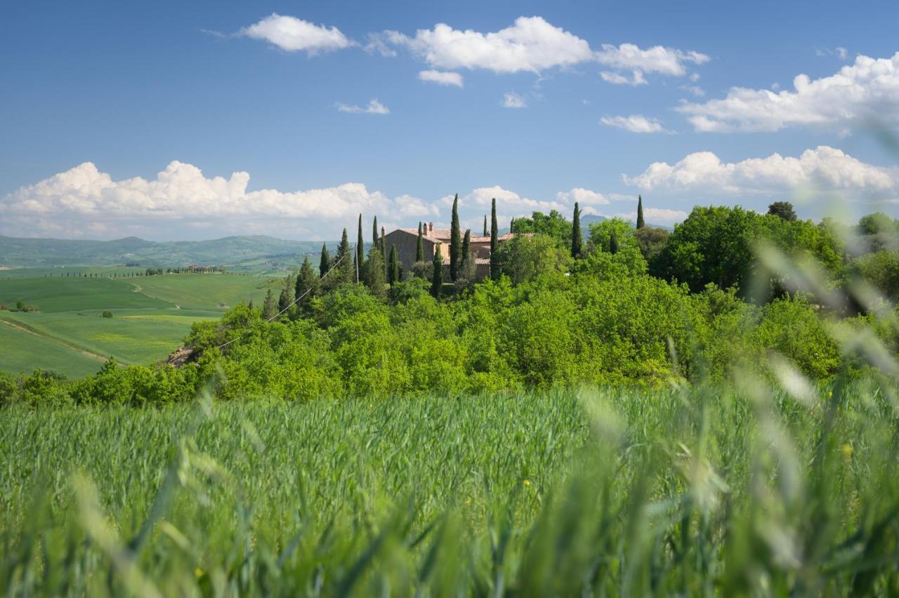 Agriturismo Cretaiole Pienza Exterior photo
